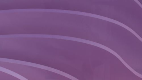 Purple Curve Background