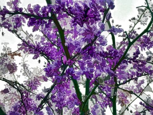Purple Floral Background 2