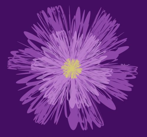 purple flower floral purple flowers