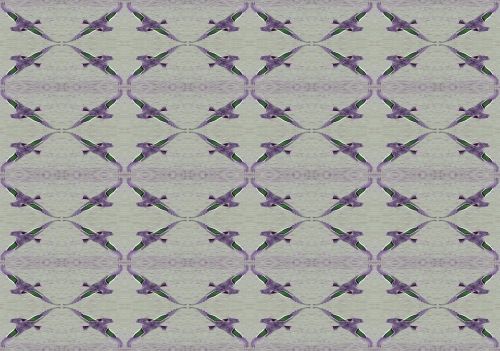 Purple Flying Duck Wallpaper
