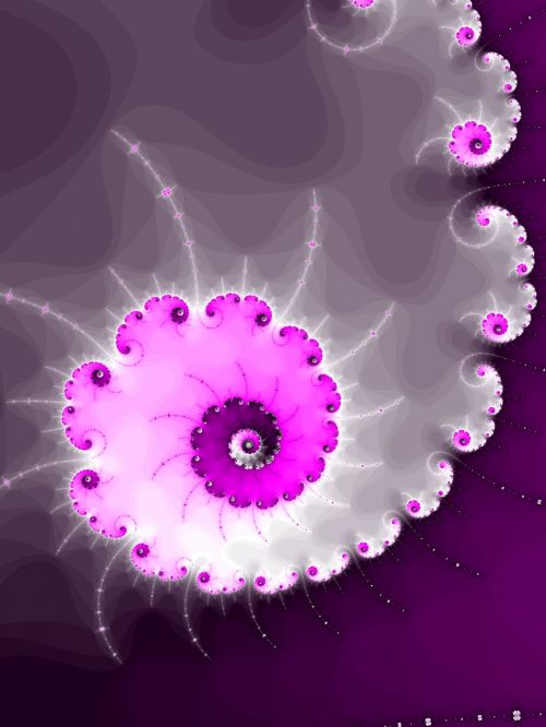 Purple Fractal Spiral