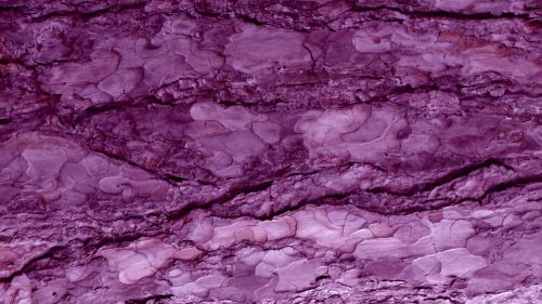 Purple Grainy Background