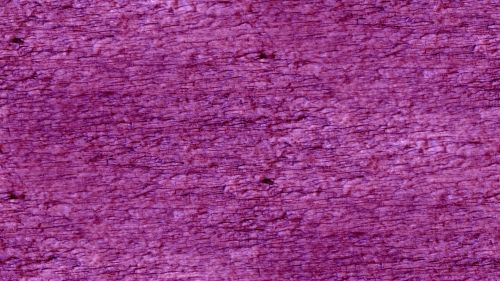 Purple Grainy Seamless Background