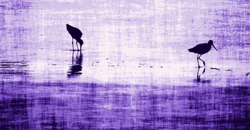 Purple Grunge Bird Sketch
