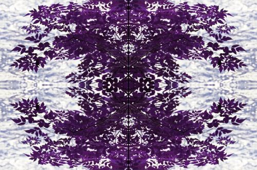 Purple Leaf Pattern