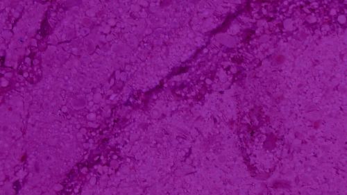 Purple Marble Texture Background