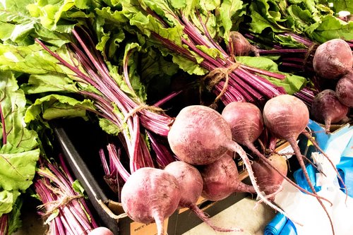 purple radish  vegetable  food