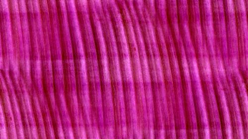 Purple Seamless Abstract Background