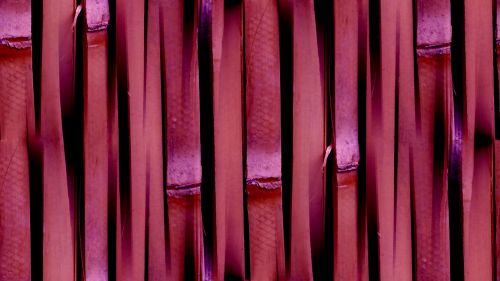 Purple Seamless Bamboo Background