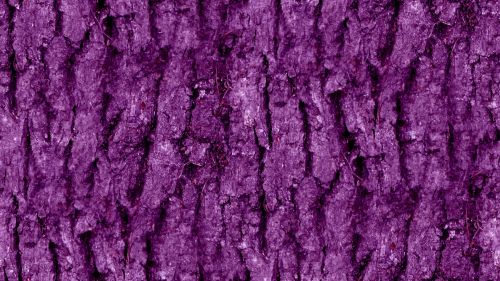 Purple Seamless Bark Background