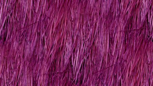 Purple Seamless Straw Background