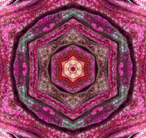Purple Star Kaleidoscope