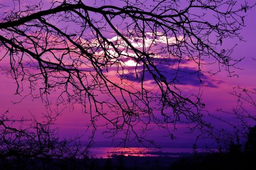 purple sunset violet sunset