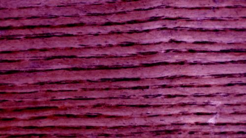 Purple Wood Grain Background