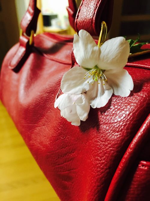 purse white flower red