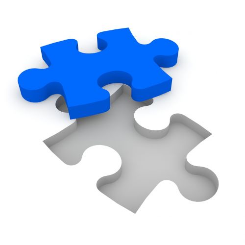 puzzle cooperation together