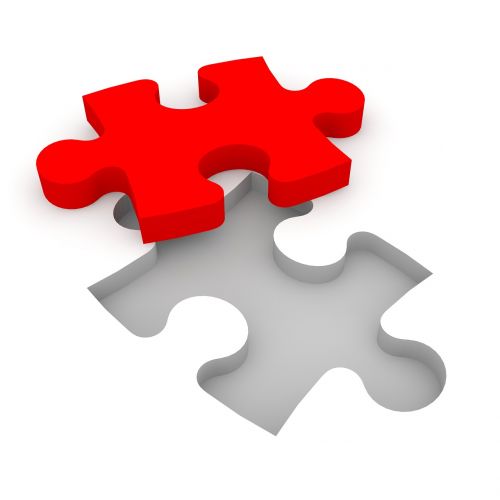 puzzle cooperation together
