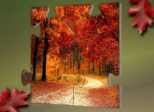 puzzle leaf puzzle piece