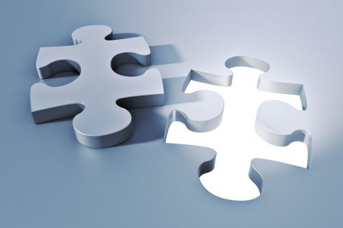 puzzle solution business