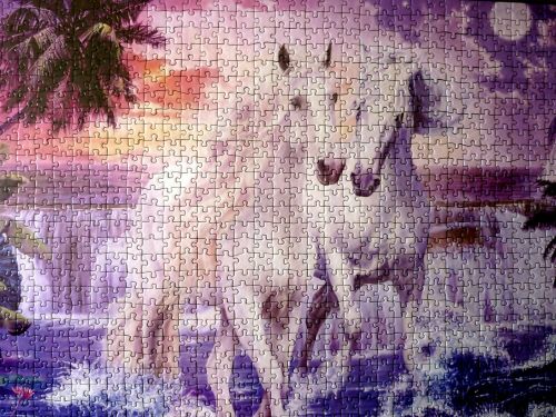 puzzle horses