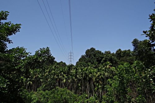 pylon electric power power