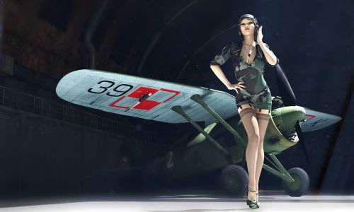 pzl p11 pin-up 3d model