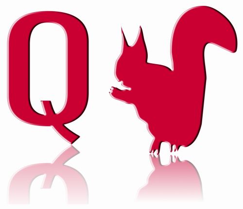 Q Squirrel