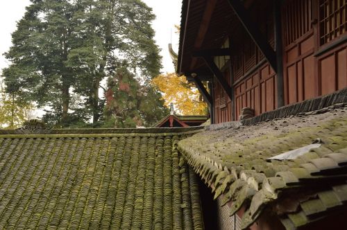 qingcheng mountain moss tile-roofed house