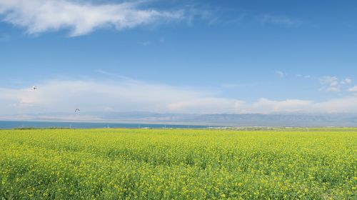 qinghai lake rape sky