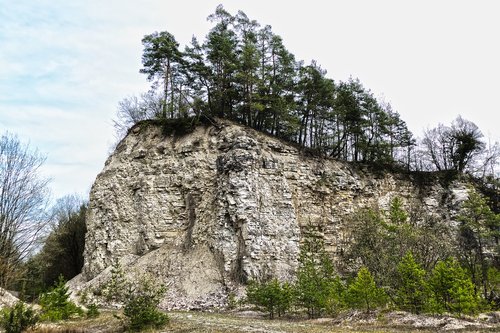 quarry  trees  rock