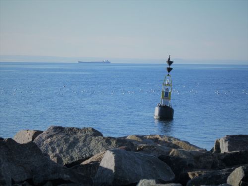 québec cormorant lighthouse