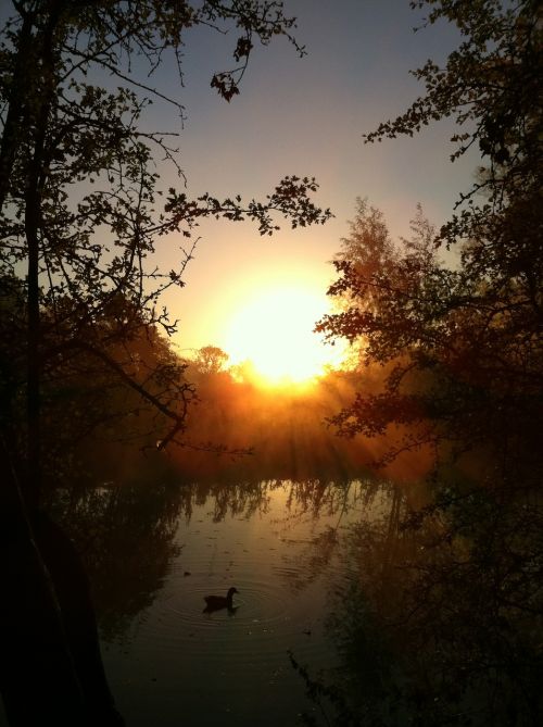 quiet outdoor nature