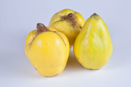 quince yellow fruits