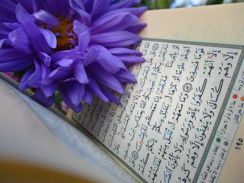 quran  shrine  scripture