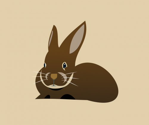 rabbit animal hare