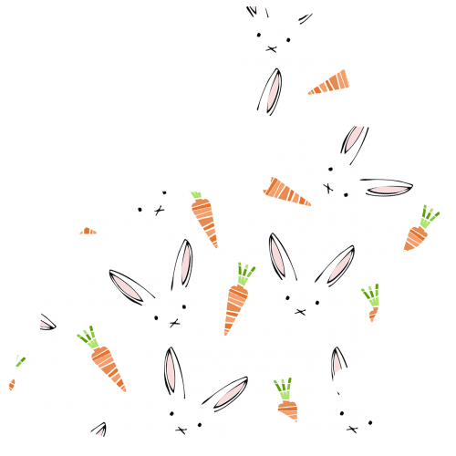 rabbit pattern carrot