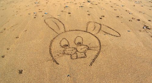 rabbit cartoon beach