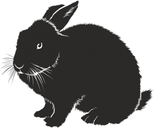 rabbit silhouette black