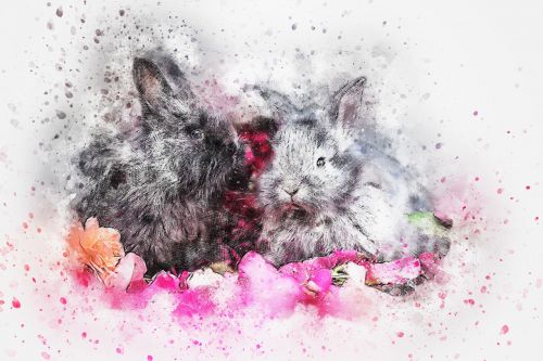 rabbit animal art