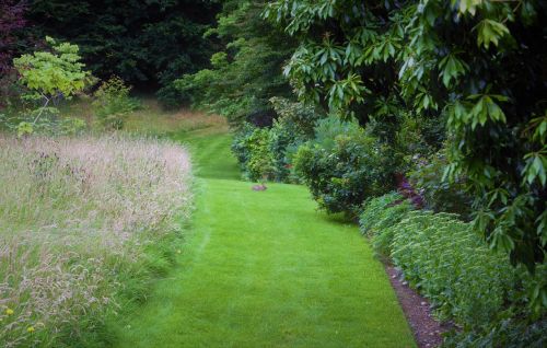 rabbit green path path