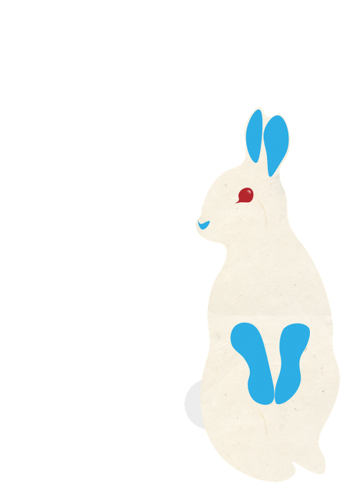 rabbit bunny easter