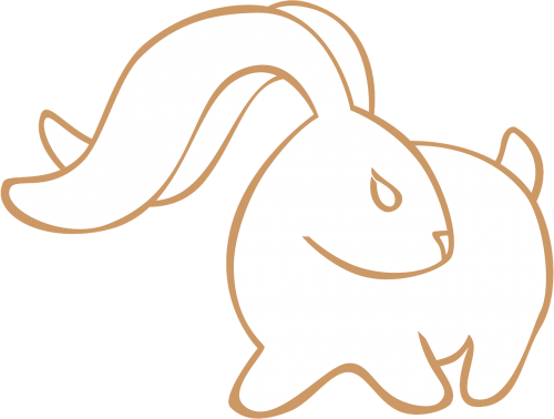 rabbit hare white