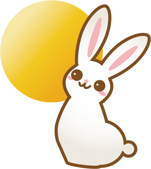 rabbit bunny animal