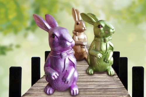 rabbit violet green