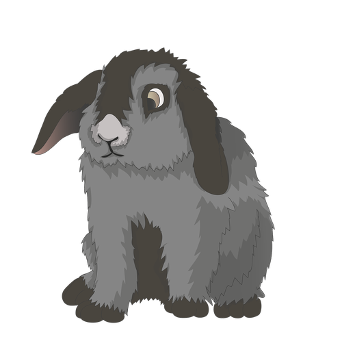 rabbit  hare  munchkins