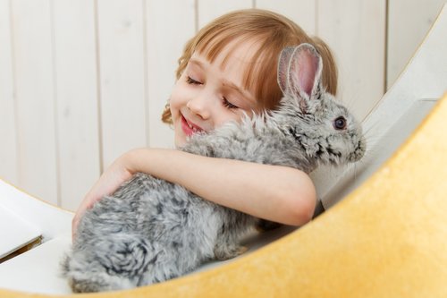 rabbit  hare  baby