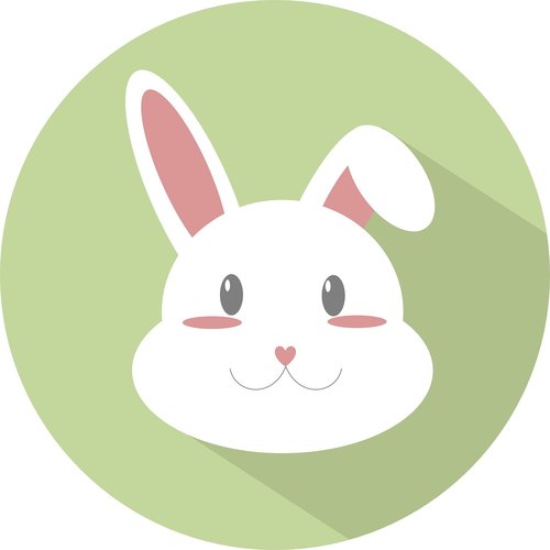 rabbit  rabbit icon  animal