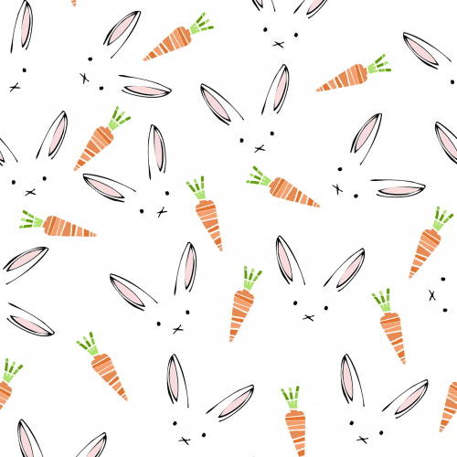 rabbit carrot pattern