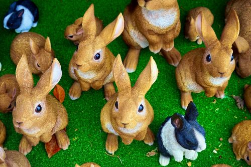 rabbits bunny easter