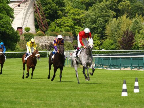 race horses vincennes